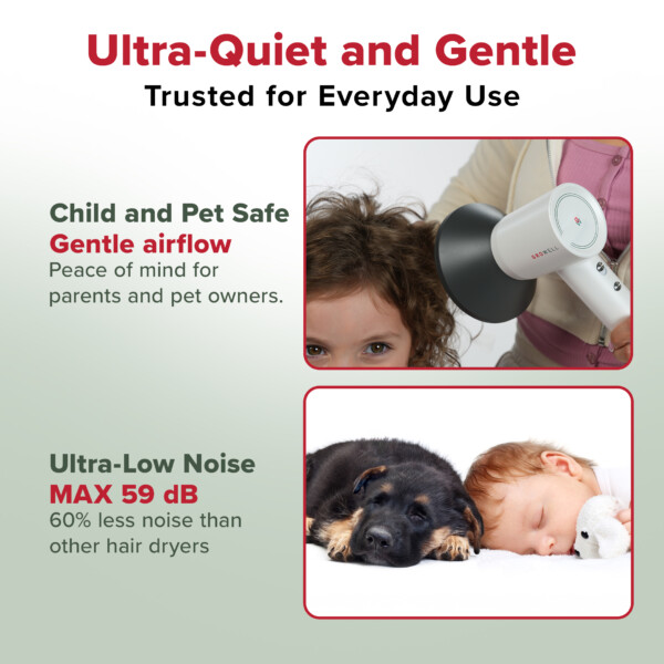 GroWell Ultra-quiet ionic hair dryer