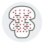 Laser and LED light array icon