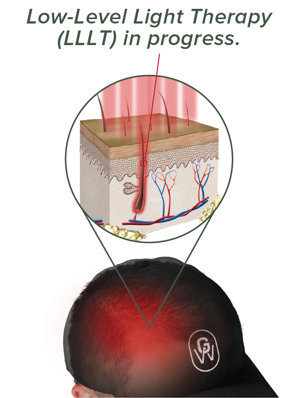 GroWell|how it works