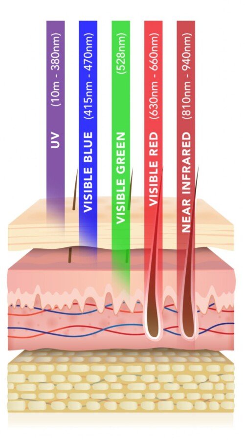 Graphic showing how low-level light penetrates the skin